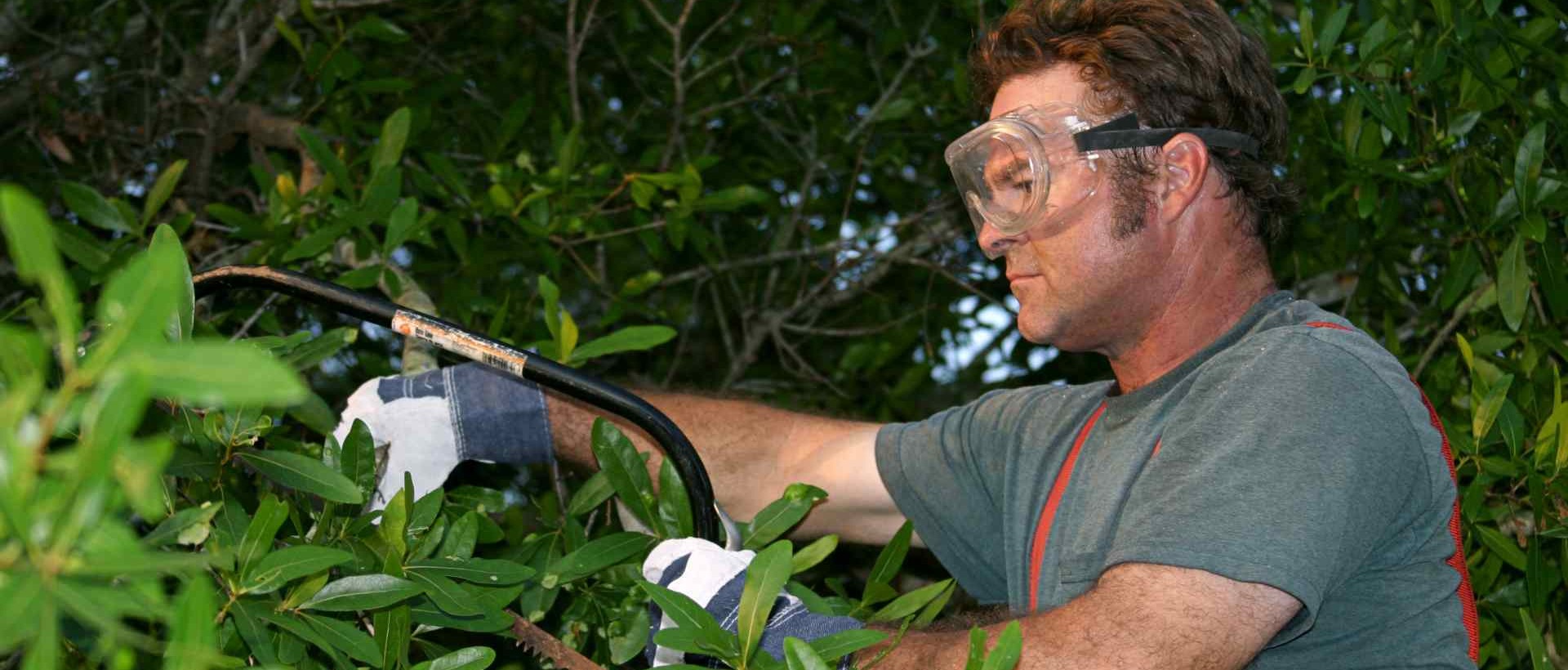 garden clearance E4