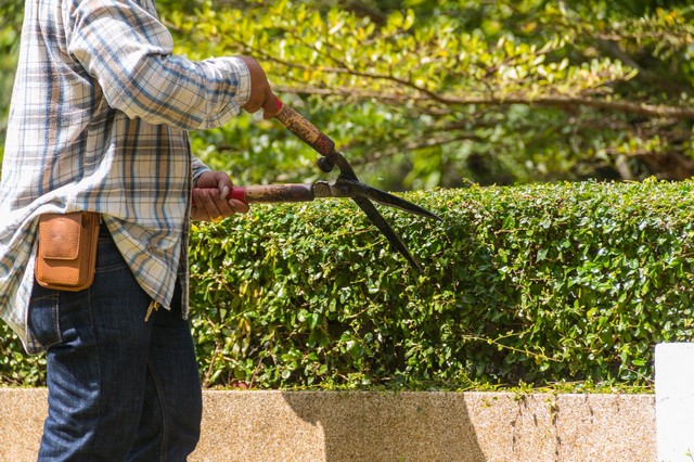 Garden Maintenance Chingford, Highams Park, E4